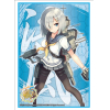 Sleeve Collection HG Vol.804 (Hamakaze)