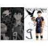 Kageyama Tobio Clear File