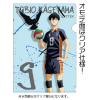 Kageyama Tobio Clear File