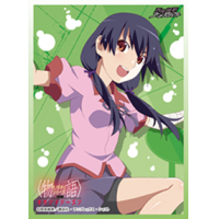 Chara Sleeve Matte No.MT129 (Kanbaru Suruga)
