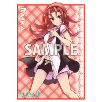 Sleeve Collection Vol.06 (Kishido Raika)