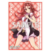 Sleeve Collection Vol.06 (Kishido Raika)