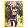 Sleeve Collection HG Vol.842 (Musashi)