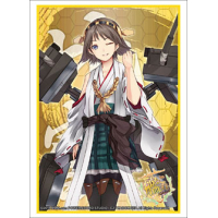 Sleeve Collection HG Vol.836 (Hiei)