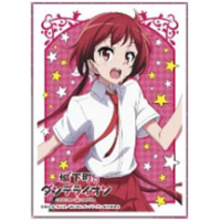 Chara Sleeve Matte No.MT176 (Sakurada Akane)