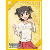 Sleeve Collection HG Vol.914 (Akagi Miria)