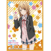 Chara Sleeve Matte No. MT216 (Isshiki Iroha)