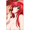 Rias Gremory Big Towel