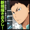 Iwaizumi Hajime Tapestry