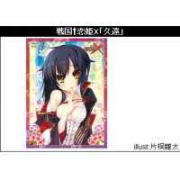 Girls Sleeve Collection Vol.059 (Kuon)