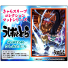 Chara Sleeve Matte No.MT246 (Ushio and Tora)