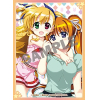 Kado-Sleeve Vol.16 (Magical Girl Lyrical Nanoha ViVid)