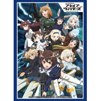 Sleeve Collection HG Vol.1168 (Brave Witches)