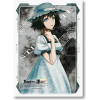 Sleeve Collection HG Vol.145 (Shiina Mayuri)