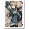 Sleeve Collection HG Vol.146 (Amane Suzuha)