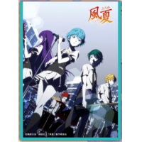 Chara Sleeve Matte No.MT328 (Fuka)