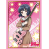 Sleeve Collection HG Vol.1255 (Ushigome Rimi Part.2)