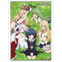 Sleeve Collection HG Vol.1291 (Armed Girl's Machiavellism)