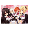 Rubber Mat Collection Vol.89 (Nora to Oujo to Noraneko Heart)