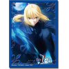 Sleeve Collection HG Vol.199 (Saber)