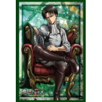 Sleeve Collection HG Vol.1352 (Levi)