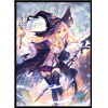 Chara Sleeve Matte No.MT435 (Witch Legendary Dorothy)