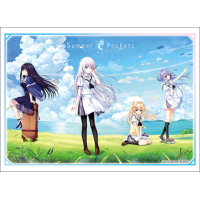 Sleeve Collection HG Vol.1473 (Summer Pockets)