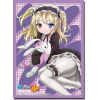 Sleeve Collection HG Vol.234 (Hasegawa Kobato Pt.2)