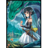 Chara Sleeve Matte No.MT479 (Ryuken no Shoujo Aira)