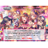 BanG Dream! Girls Band Party! Poppin'Party Trial Deck+