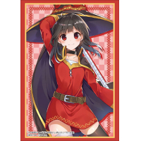 Sleeve Collection HG Vol.1920 (Megumin)