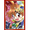 Sleeve Collection HG Vol.2038 (Lina Inverse)