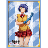Sleeve Collection HG Vol.2044 (Ryomou Shimei)