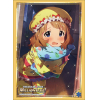 Sleeve Collection HG Vol.2048 (Suou Momoko)