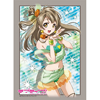 Sleeve Collection HG Vol.299 (Minami Kotori)