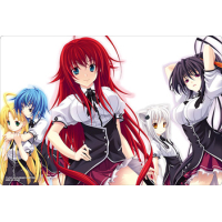 Rubber Mat Collection Vol.433 (High School DxD)