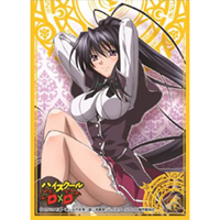 Chara Sleeve No.095 (Himejima Akeno)