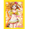 Sleeve Collection HG Vol.320 (Kosaka Honoka)