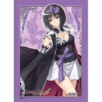 Sleeve Collection HG Vol.341 (Yukihime)