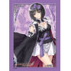 Sleeve Collection HG Vol.341 (Yukihime)