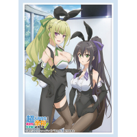 Sleeve Collection HG Vol.2446 (Keine & Aoi)
