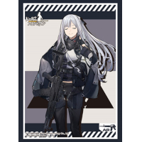 Sleeve Collection HG Vol.2489 (AK-12)