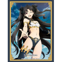 Sleeve Collection HG Vol.2633 (Ishtar Part. 2)