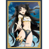 Sleeve Collection HG Vol.2633 (Ishtar Part. 2)