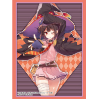 Sleeve Collection HG Vol.2646 (Megumin Part. 3)