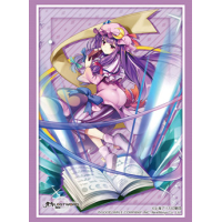 Sleeve Collection HG Vol.2742 (Patchouli Knowledge)