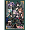 Sleeve Collection HG Vol.2765 (Roselia)