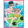 Chara Sleeve Matte No.MT1045 (Misaka Sisters & Last Order)