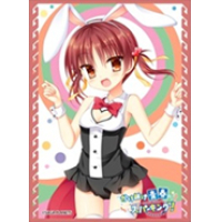 Chara Sleeve Matte No.MT1094 (Tono Ritsu)