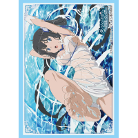 Sleeve Collection HG Vol.3115 (Hestia Part. 3)